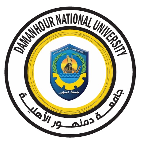 Faculty of Computer, Information and Artificial Intelligence